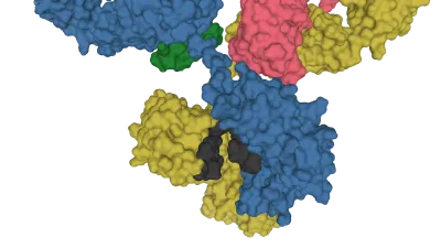 Anthropic Buys One-Person Biotech Mithril