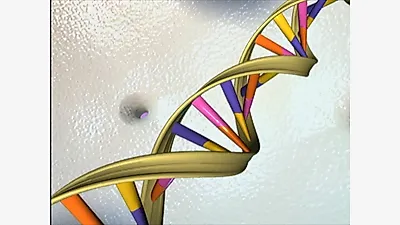 DeepMind Precomputed 9 Billion DNA Variants Into a 1-Petabyte Atlas