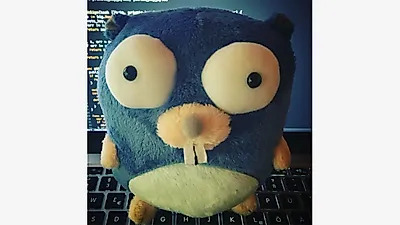 Go 1.27 Ships Generic Methods, a Rebuilt JSON Engine and Post-Quantum Signatures